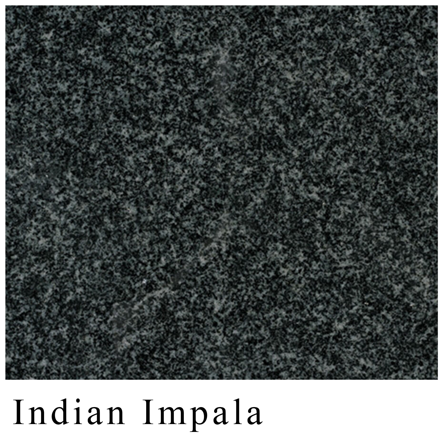 Granite color Indian Impala